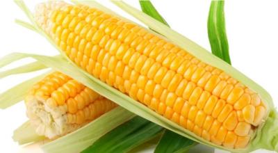 Ngô ngọt đóng hộp